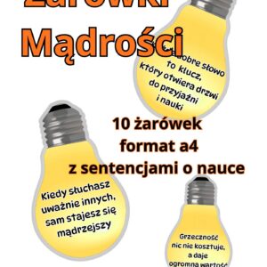 Okładka Żarówki Mądrości